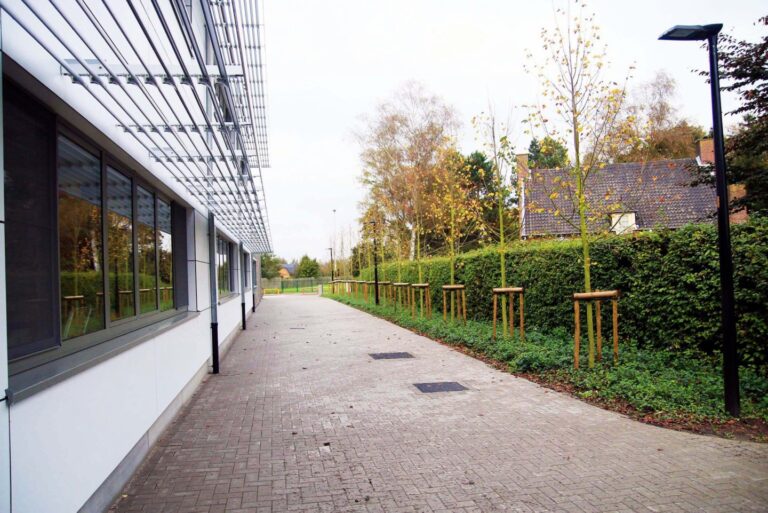 Renovatieproject Tuinaanleg Kesters